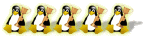 5 penguins